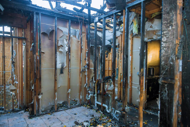 Professional Fire Damage Removal technician working in Immokalee, FL