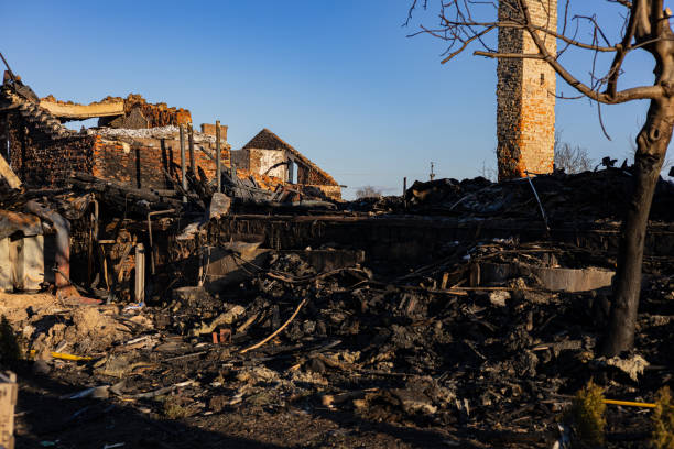 Reliable Fire Damage Removal contractor in Immokalee, FL by Fire Damage Doption