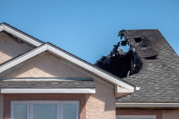 Top rated local Fire Damage Removal specialists in Immokalee, FL